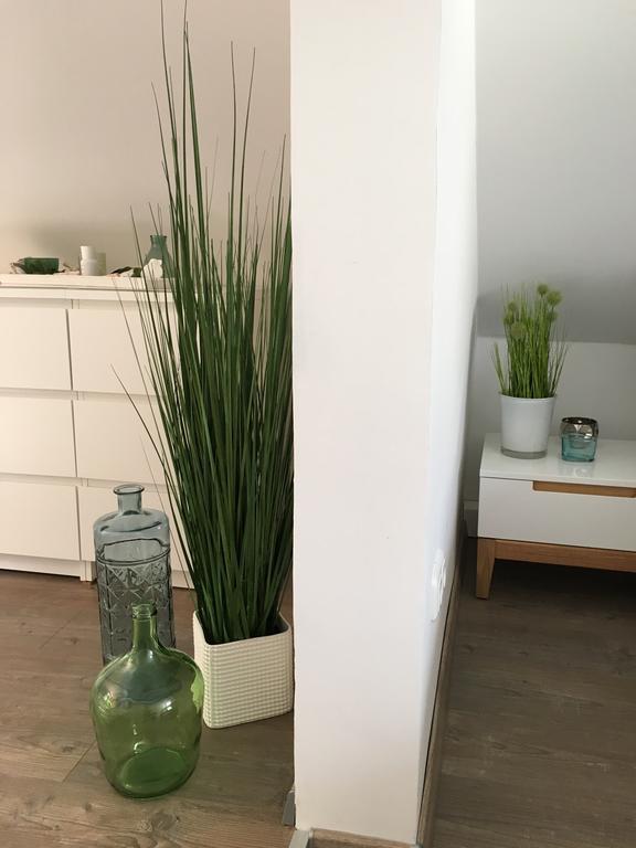 Ferienhaus Zur Mainpforte ماينتس المظهر الخارجي الصورة
